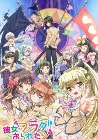 Если бы я сломал её флаг (2014)