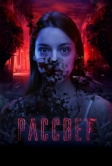 Рассвет (2019)